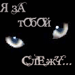 511645373.gif