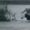 1640587391.gif