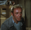 img (17).gif
