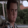 3502191092.gif