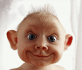img 101.gif