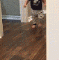 RK0Jj.gif