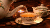81b4daa970ad7b14666c95388490ba8a.gif