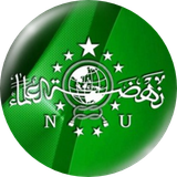 Nusachain Logo