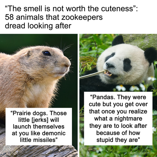 worst zoo animals to care for.jpg