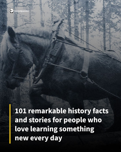 amazing interesting historical photos.jpg