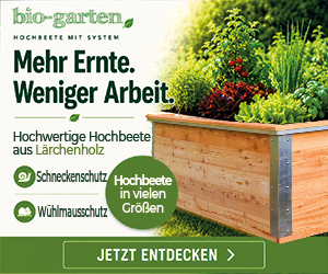 300x250 neu s1.png