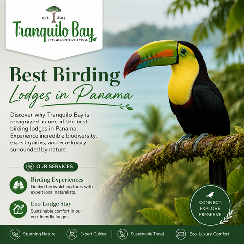 Explore Panama’s Premier Birding Lodge for Wildlife Adventures.png