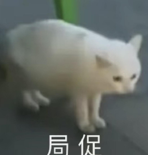 Screenshot.jpg