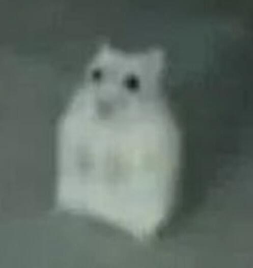 Screenshot.jpg