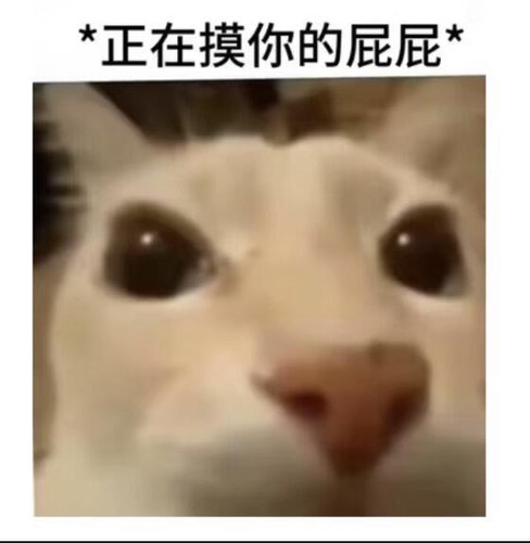 Screenshot.jpg