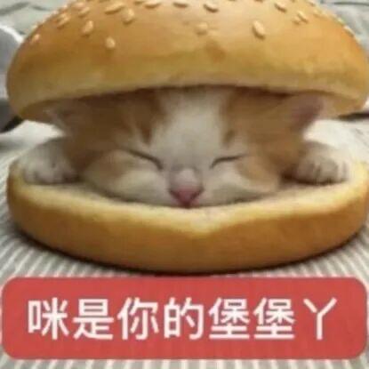 {\"DeviceModel\":\"iPhone15,2\",\"capa_image_quality_ios_main_flow_image_export_4k\":\"1\",\"capa_im.jpg