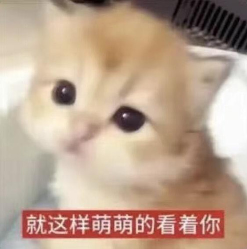Screenshot.jpg