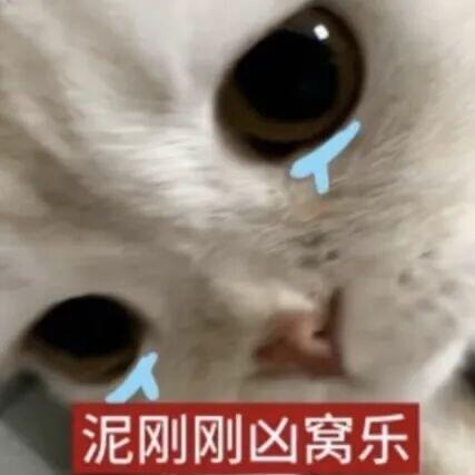 {\"DeviceModel\":\"iPhone15,2\",\"capa_image_quality_ios_main_flow_image_export_4k\":\"1\",\"capa_im.jpg