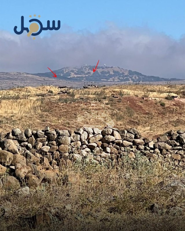 صورة الخبر