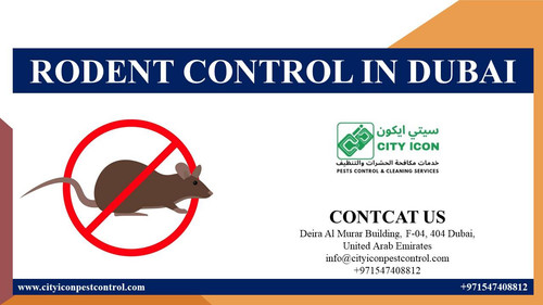 RODENT CONTROL IN DUBAI.jpg.jpg