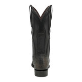 2CT0A1 DORADO NEGRO avestruz golden MO 19