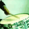 IMG 8294.gif