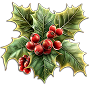 holly.png