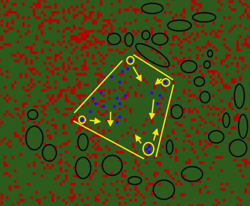 Save.png