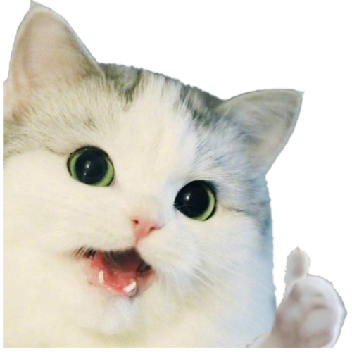 c4ed39c96b9ebef4.png