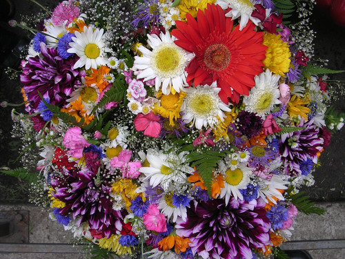 DSCN5403.jpg