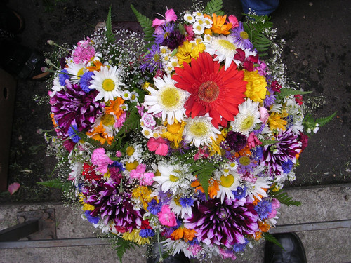 DSCN5404.jpg