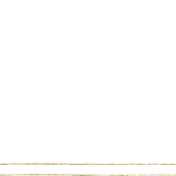 gold border 2