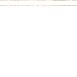gold border 1