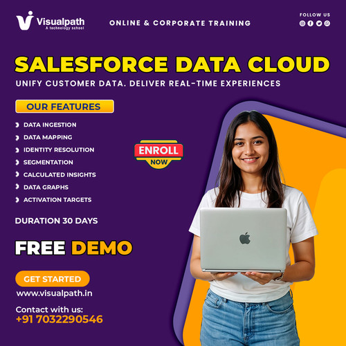 Salesforce Data Cloud Training | Online Course.jpg
