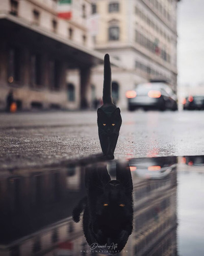 Artist Creates Dreamlike Photomanipulations That Feel Like Scenes From Another World 6a1ece0479bdb 7.jpg