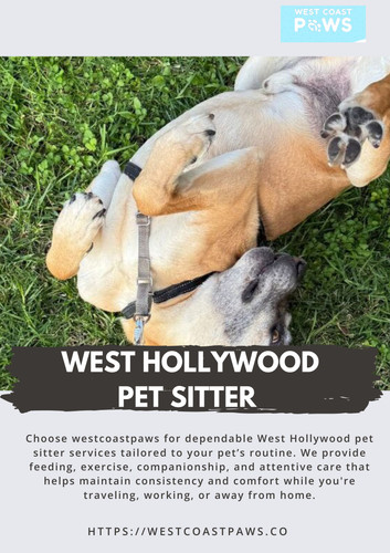 West Hollywood Pet sitter.jpg