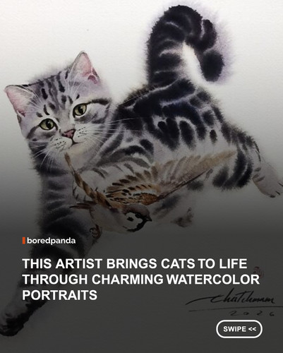 swipe to read.jpg