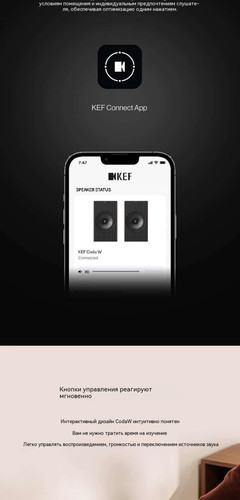 翻译后详情图0 11.jpg