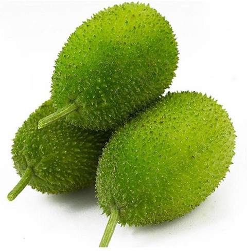 20 kantola03 recron seeds original imahfgxzgjurjcuh.jpg