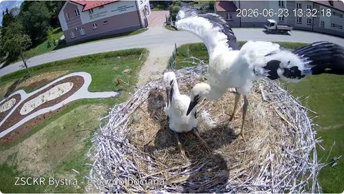 MWSnap840.jpg