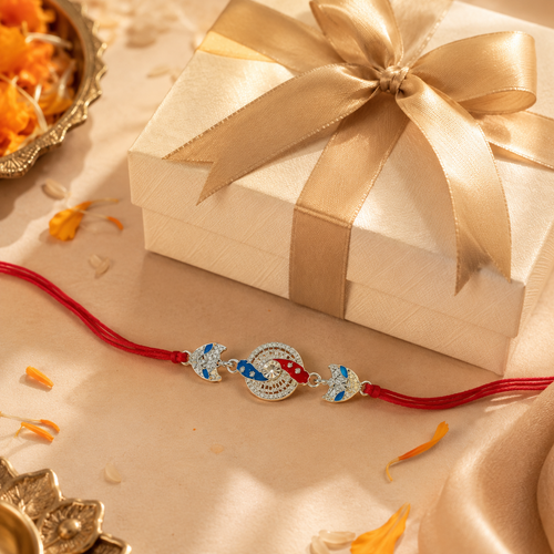 Silver Rakhi Pic 2.2
