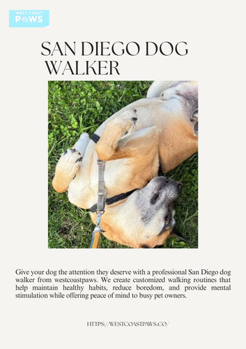 San Diego dog walker (1).jpg