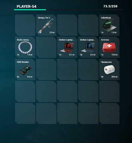 FiveM b3258 GTAProcess 0YdcUr4jro.png