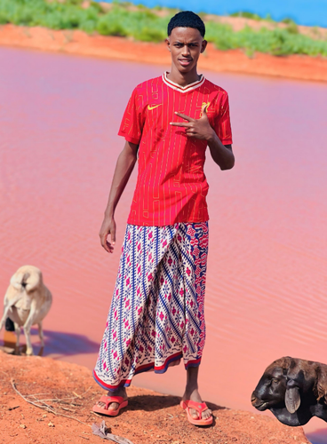 temp.png