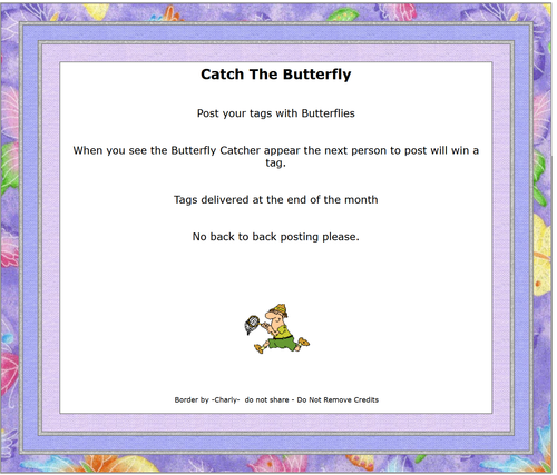 CATCH THE BUTTERFLY.png
