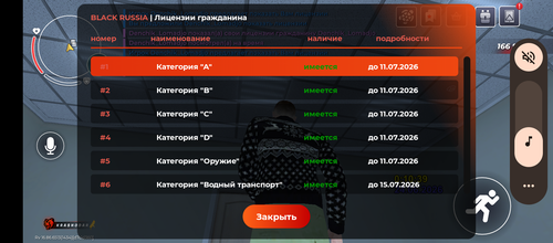 7633.png