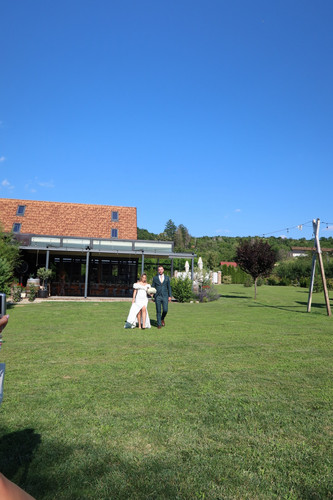 IMG 6650.jpg