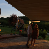 IMG 6878
