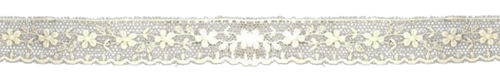 IMG 8614.png