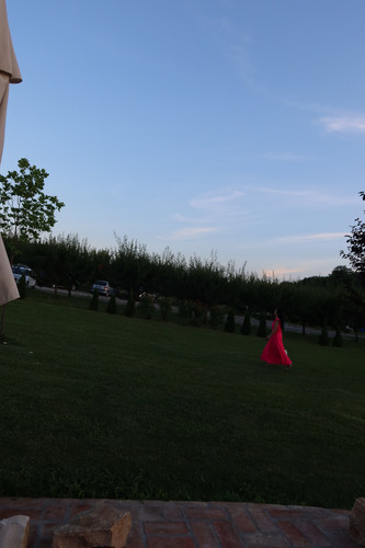 IMG 6915.jpg