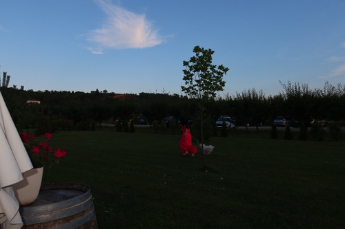 IMG 6916.jpg