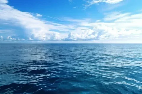 3771.webp
