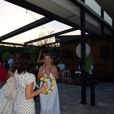 IMG 6982