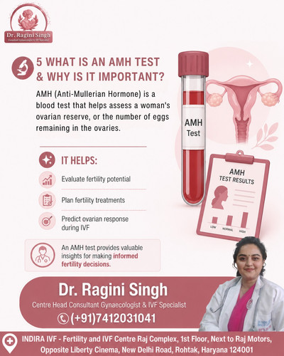 IVF Doctor in rohtak haryana Dr Ragini Singh.jpg